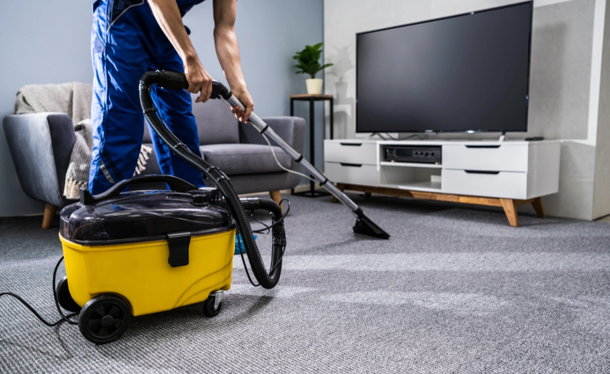 Extract Carpet Cleaning Elwood Contact Office